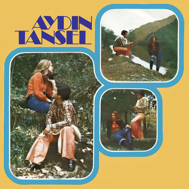 Aydın Tansel