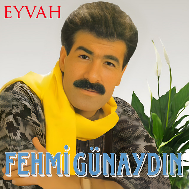 Fehmi Günaydin