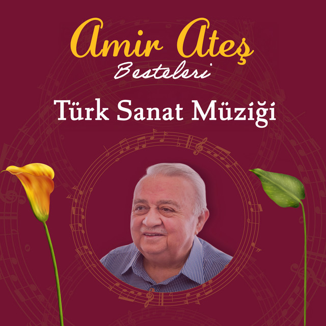 Amir Ateş