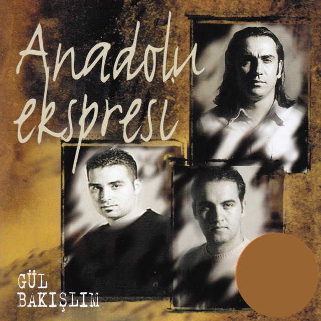 Anadolu Ekspresi
