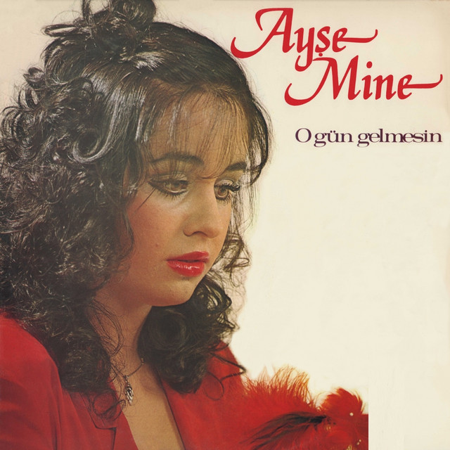 Ayşe Mine