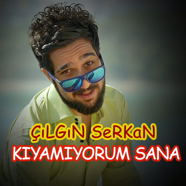 Çılgın Serkan