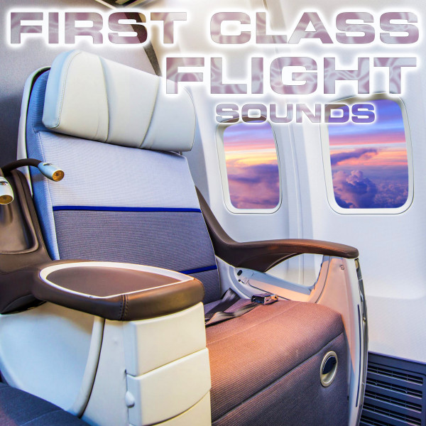 S-Flight