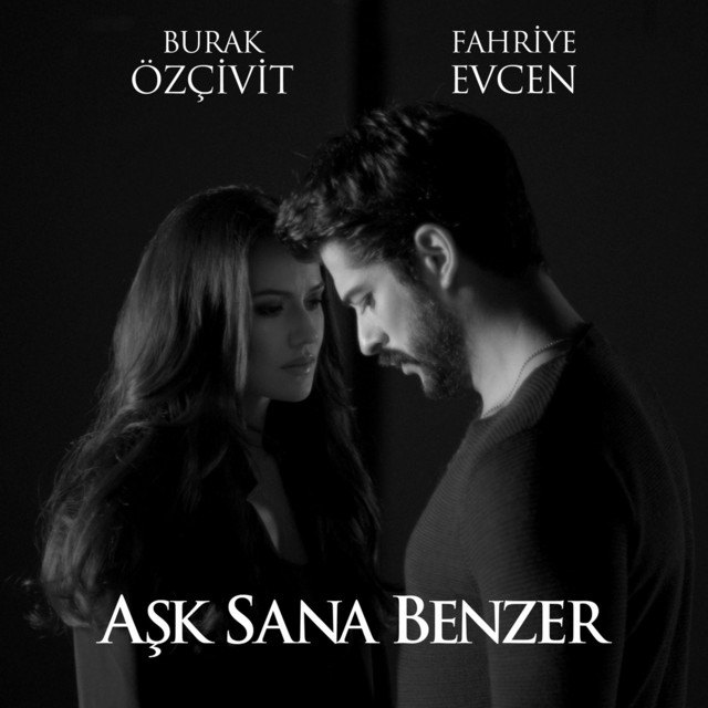 Fahriye Evcen