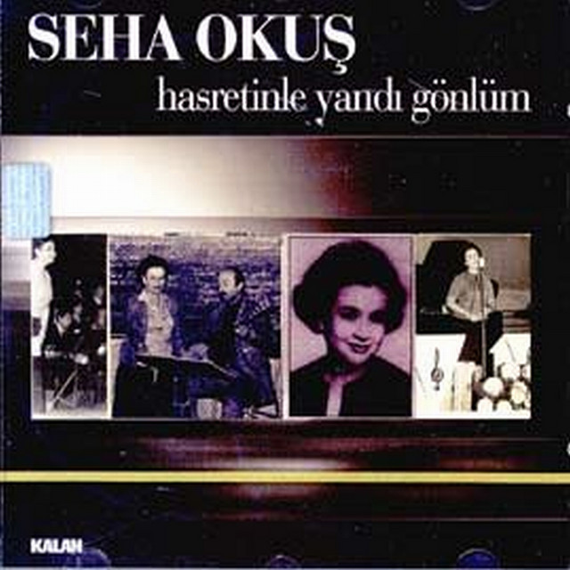 Seha Okuş