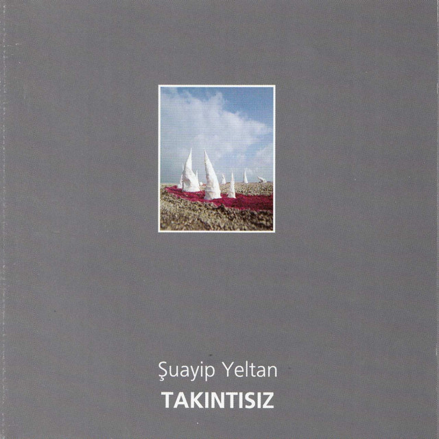 Şuayip Yeltan