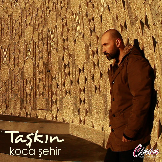 Taşkın