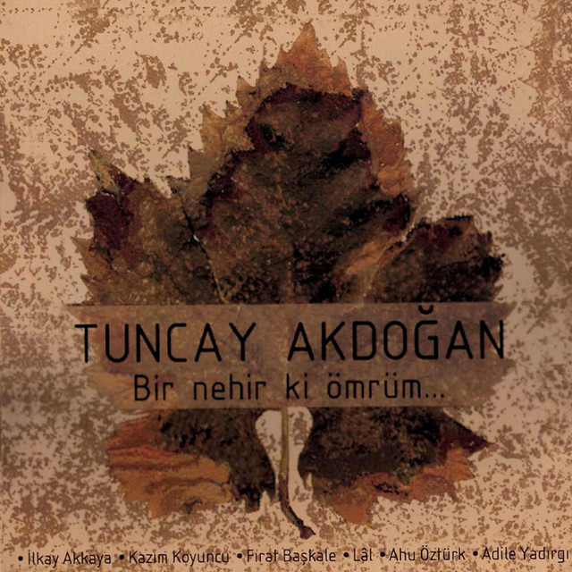 Tuncay Akdoğan