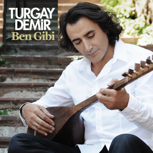 Turgay Demir
