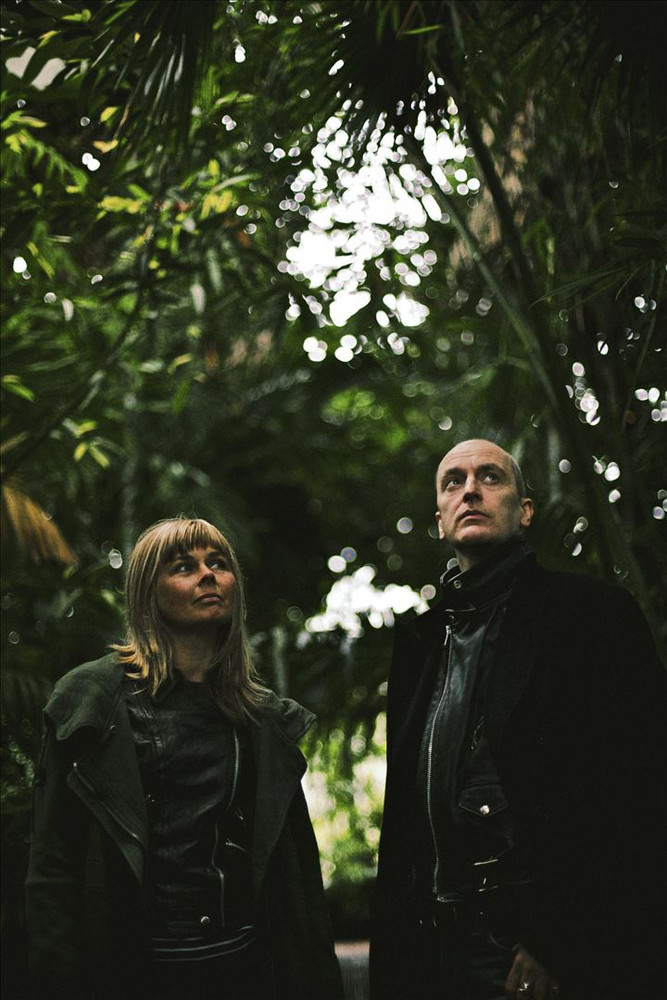 Vaselines