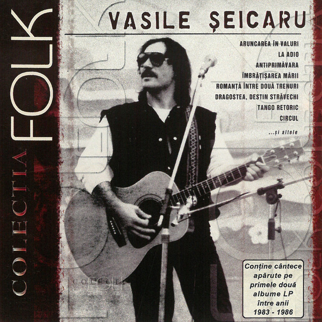 Vasile Seicaru