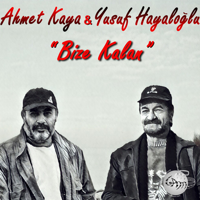 Yusuf Hayaloğlu